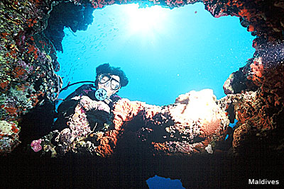 A Diver in the deep blue with corals