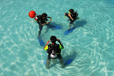 Dive schools giving introductory lessons to beginners