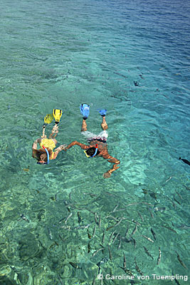Snorkeling  in Maldives - get closer to underwater life