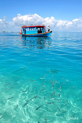 Dive boat taking divers to location